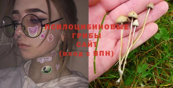 Альфа ПВП Вязьма