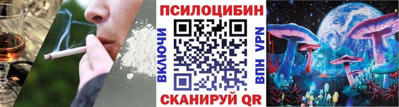Псилоцибиновые грибы Cubensis  мега сайт  Петухово  купить наркотики сайты 